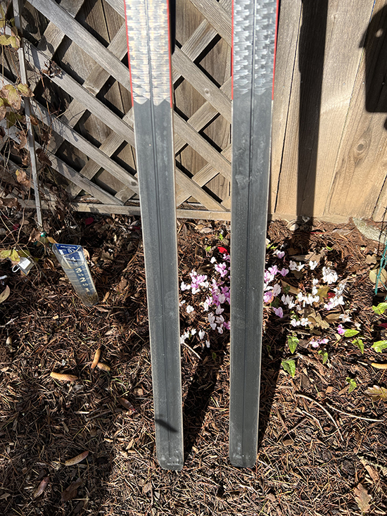 Fischer Europa skis